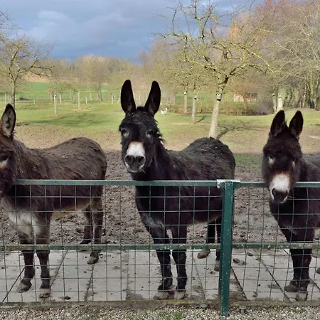 Apartmán Grijzegraaf Vakantiewoning Voerstreek Voeren